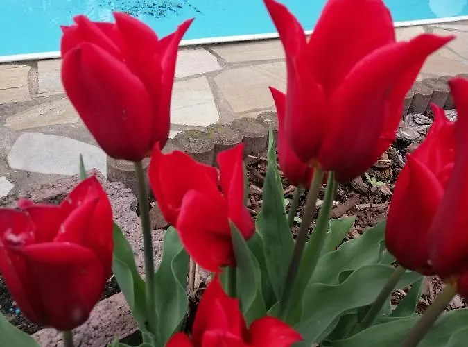 公寓 Usis_ferienwohnung Im Harz